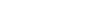 Custom Dealer Solutions logo