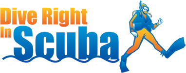 Dive Right In Scuba logo