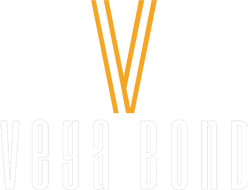 vbinsulation logo