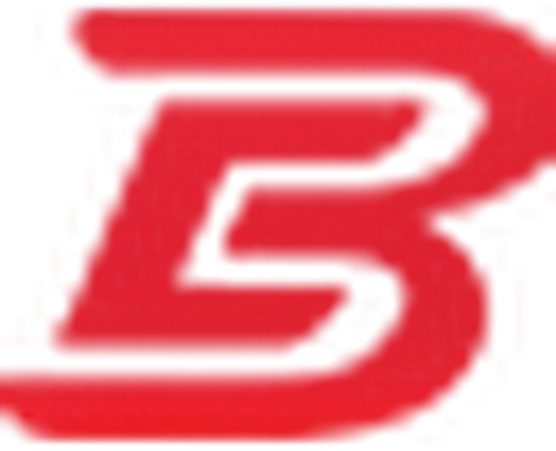 BEZGAR logo
