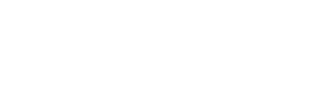 The Telecom Spot logo