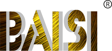 BAISI HAIR logo