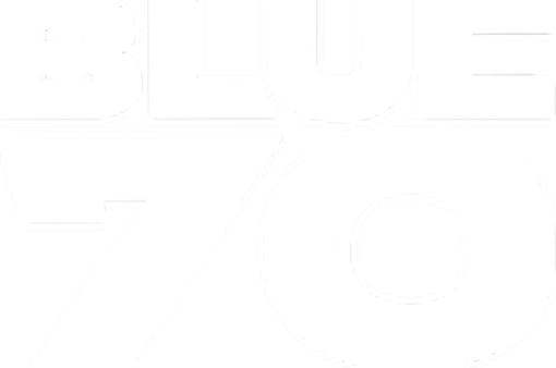 Blueseventy usa logo