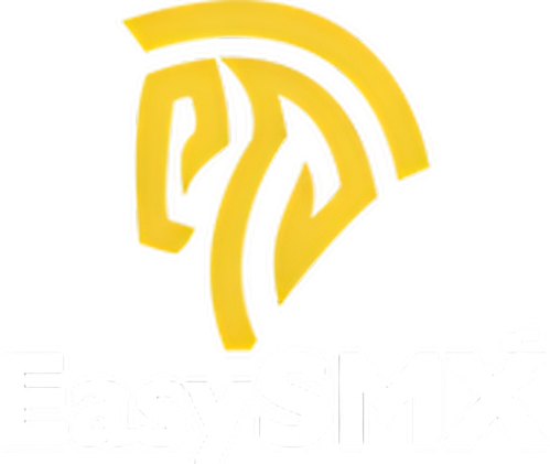 EasySMX logo