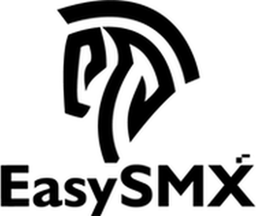 EasySMX logo