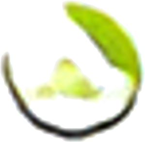 All Naturell Healing logo