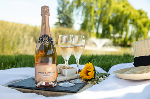 Domaine Carneros logo