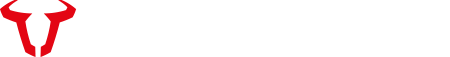 SW-MOTECH logo