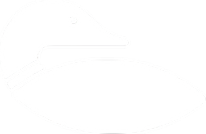 Paddle North logo