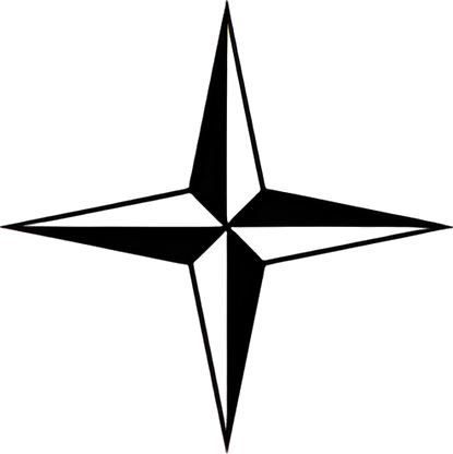 Stone Island logo