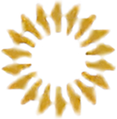 Finest Resorts logo