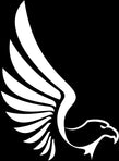 aaapresets logo