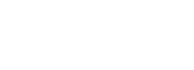 Serious Steel Fitness logo