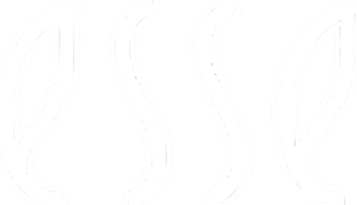 Esse Skincare USA logo