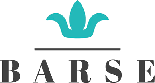 Barse Jewelry logo