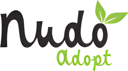 Nudo Adopt logo
