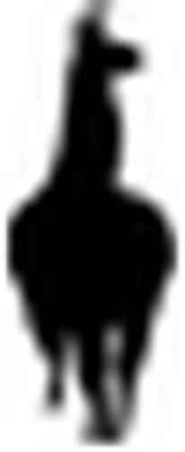 ALPAKA logo