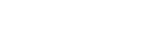 We Ball Sports logo