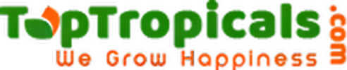 Top Tropicals logo