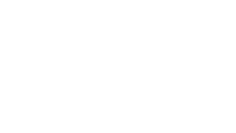 Iron Company logo