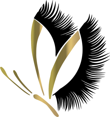 Blinkifly logo