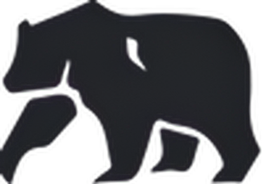 The Normal Brand logo