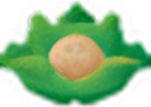Cabbage Patch Kids logo
