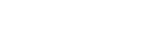 PARNELL(US) logo