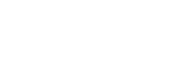 Branded Surveys logo