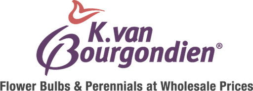 Dutch Bulbs logo