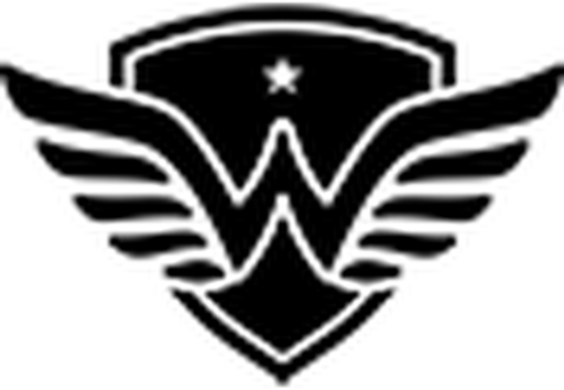 Wonder Hoodie logo
