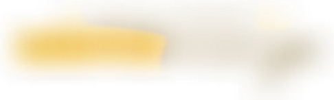 Mango Mango Dessert logo