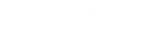 Charlie 1 Horse logo
