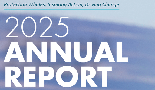 Pacific Whale Foundation logo
