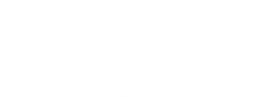 Premium Auto Styling logo