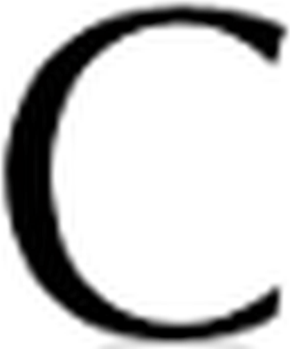 ChrisElli logo