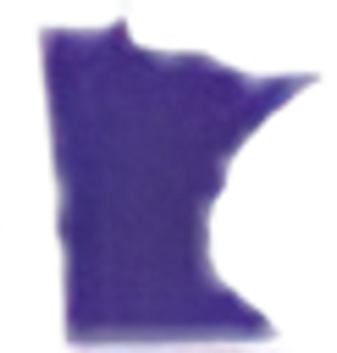 Twin Cities Auto Show logo
