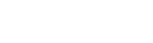 APEX SKI BOOTS logo