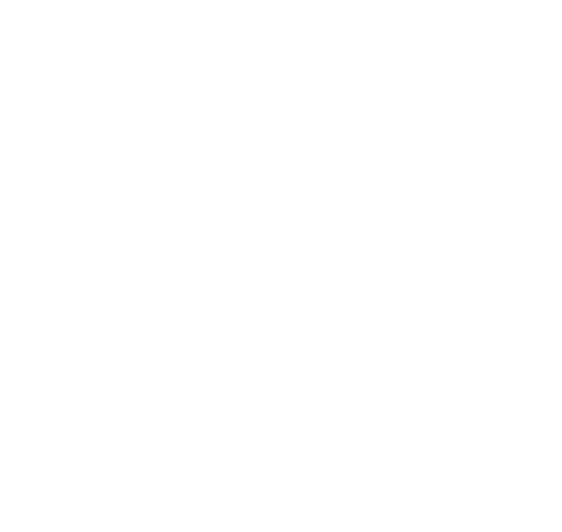 The Elephant Project logo