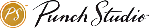 Punch Studio logo