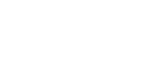 FLYWOO logo