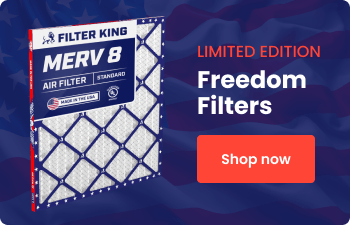 Filter King logo