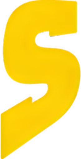 SNAC System Inc. logo