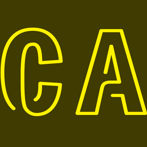CustoArmor logo