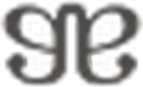 Albion Fit logo