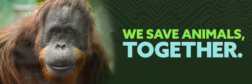 Louisville Zoo logo