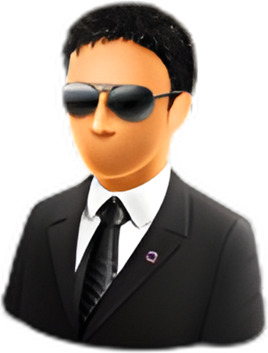 Hide My IP logo