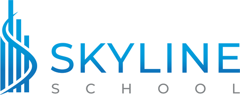 Skyline School, LLC logo