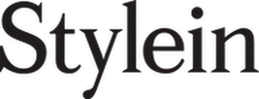 Stylein logo