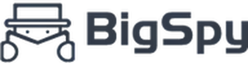 BigSpy logo